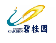 政和碧桂园地产